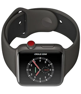 Apple Watch Edition Series 3 Price